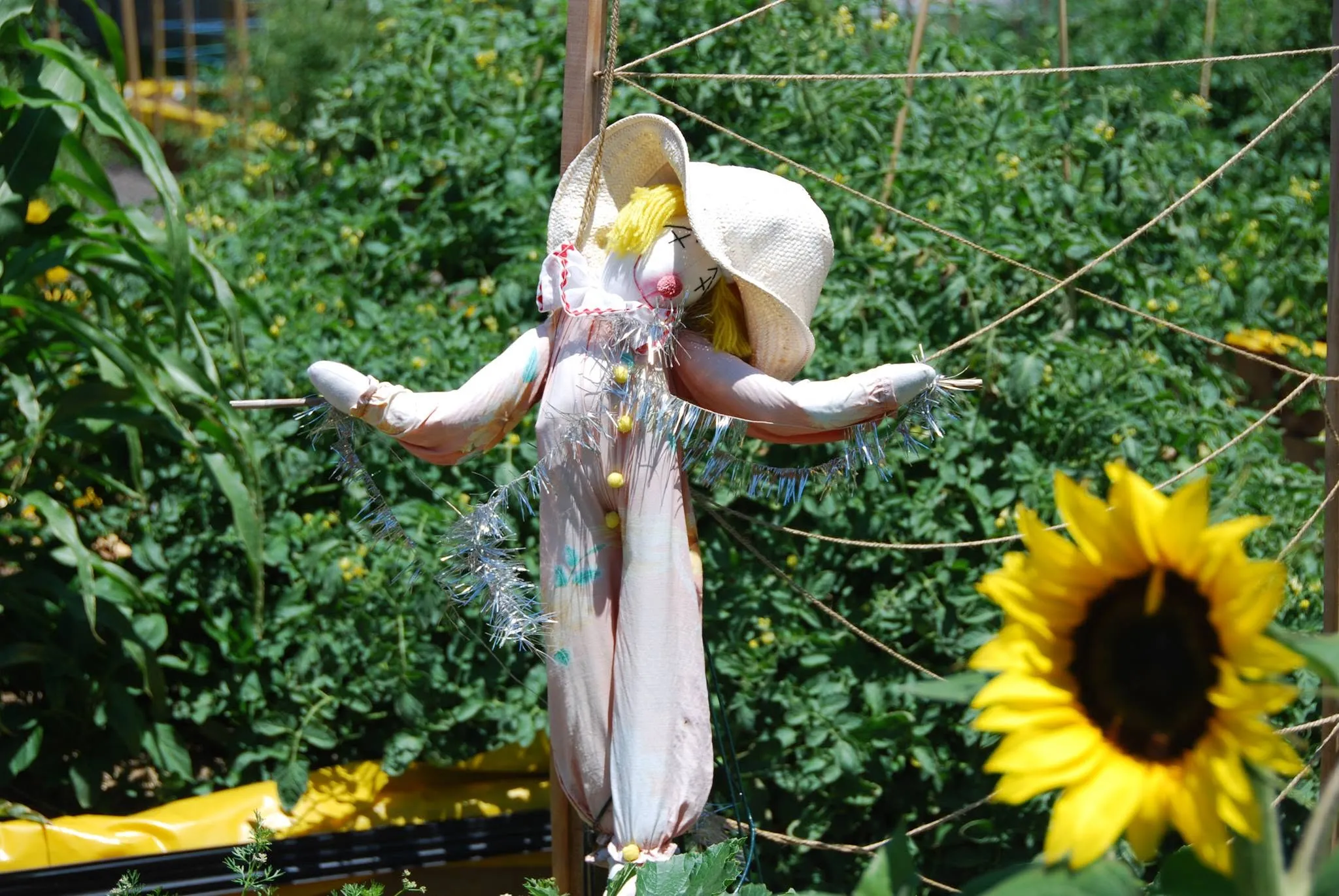 Maribyrnong Edible Garden — photo 14