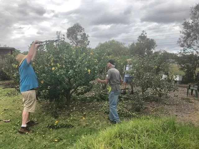 Maribyrnong Edible Garden — photo 60
