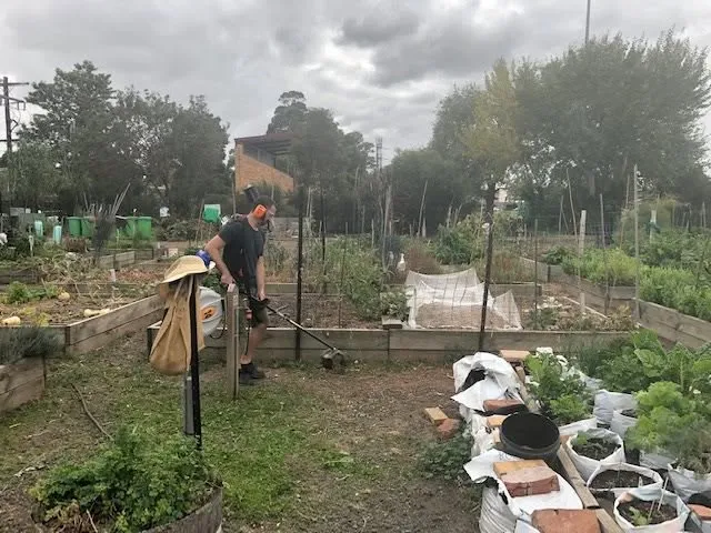 Maribyrnong Edible Garden — photo 61