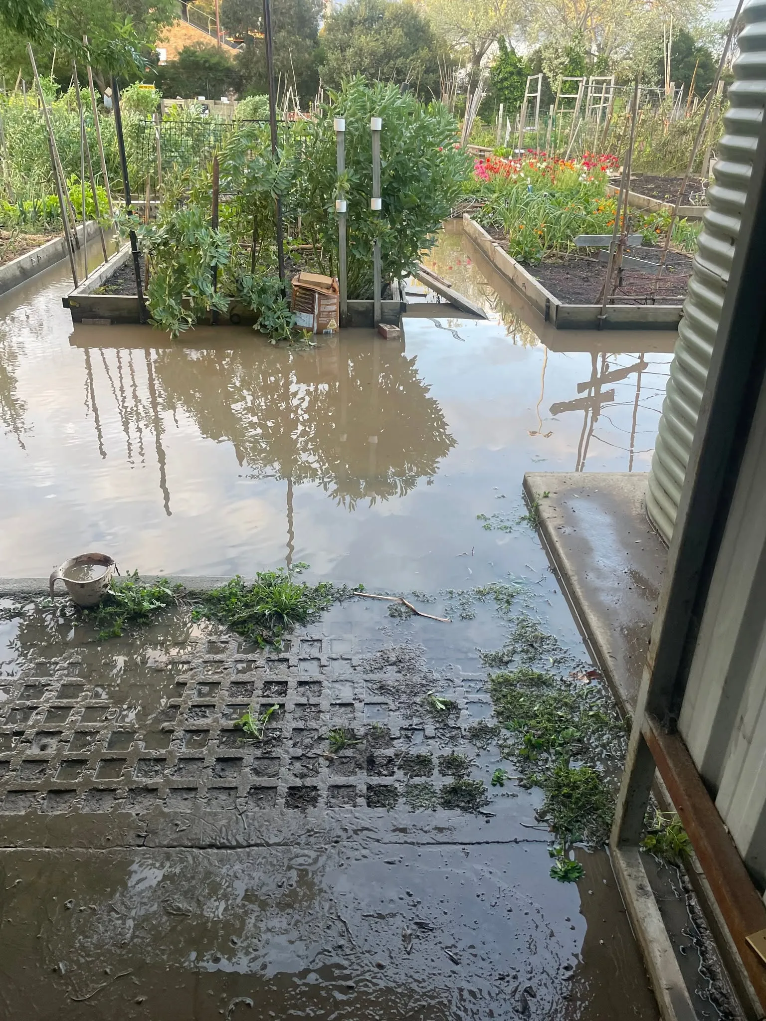 Maribyrnong Edible Garden — photo 72