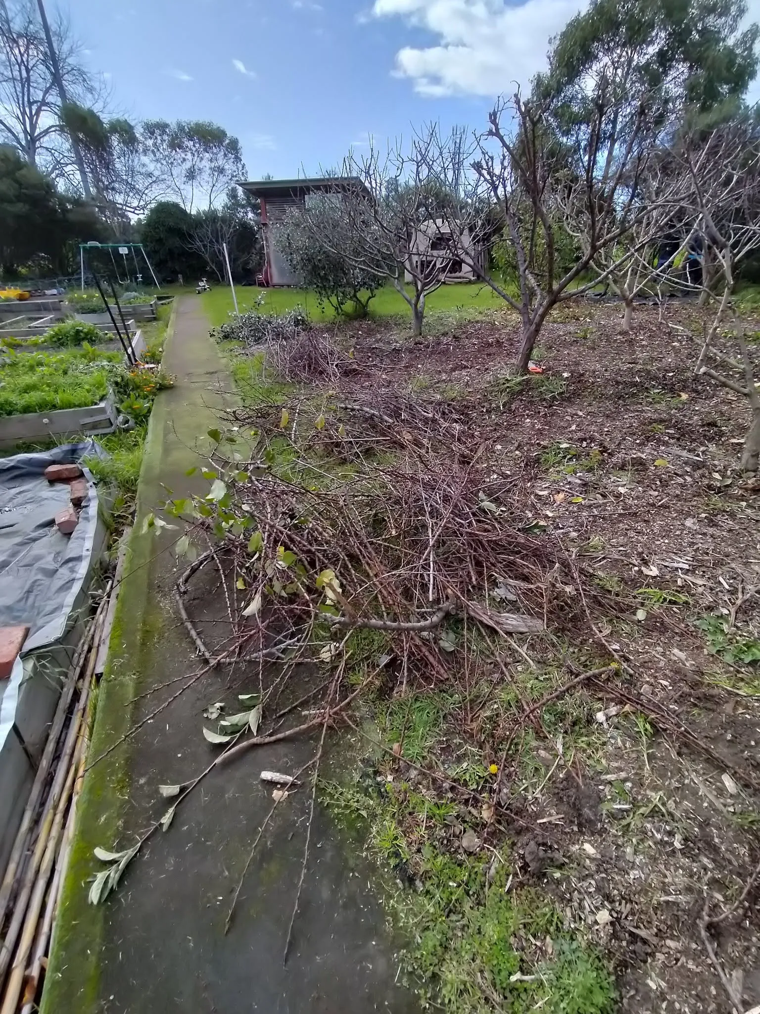 Maribyrnong Edible Garden — photo 79