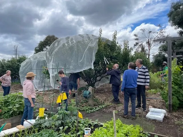 Maribyrnong Edible Garden — photo 96