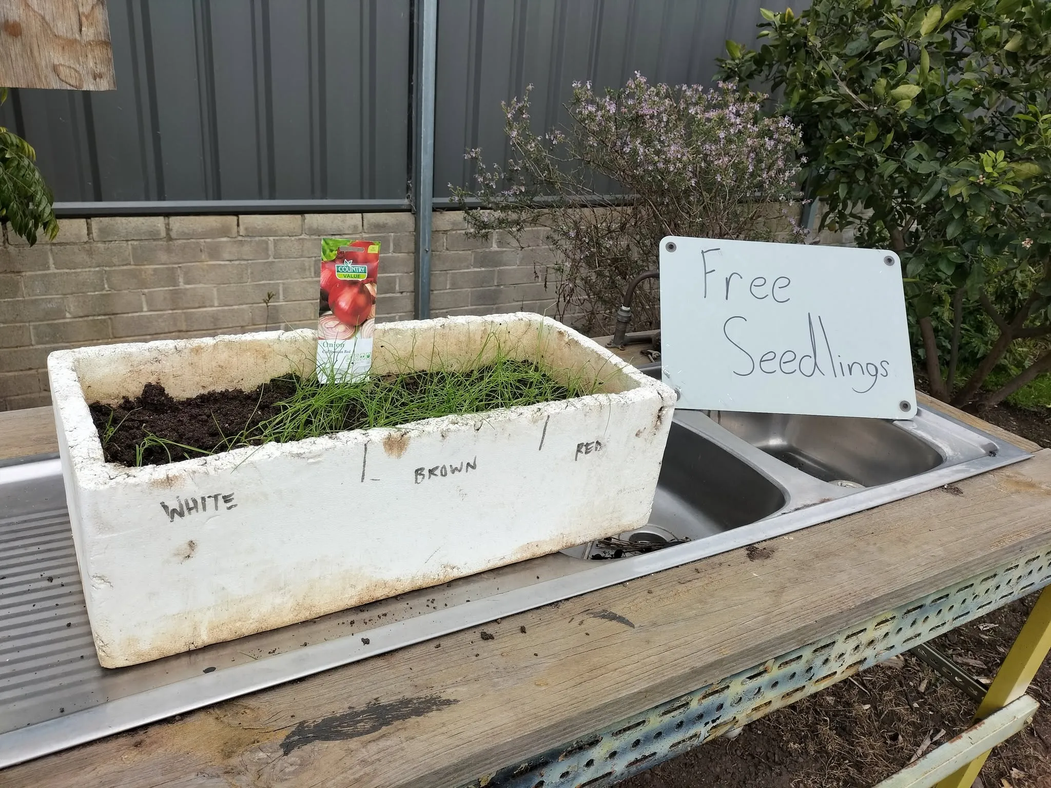 Maribyrnong Edible Garden — photo 106