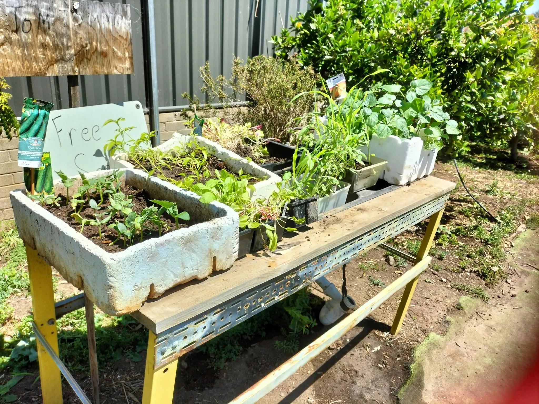 Maribyrnong Edible Garden — photo 110