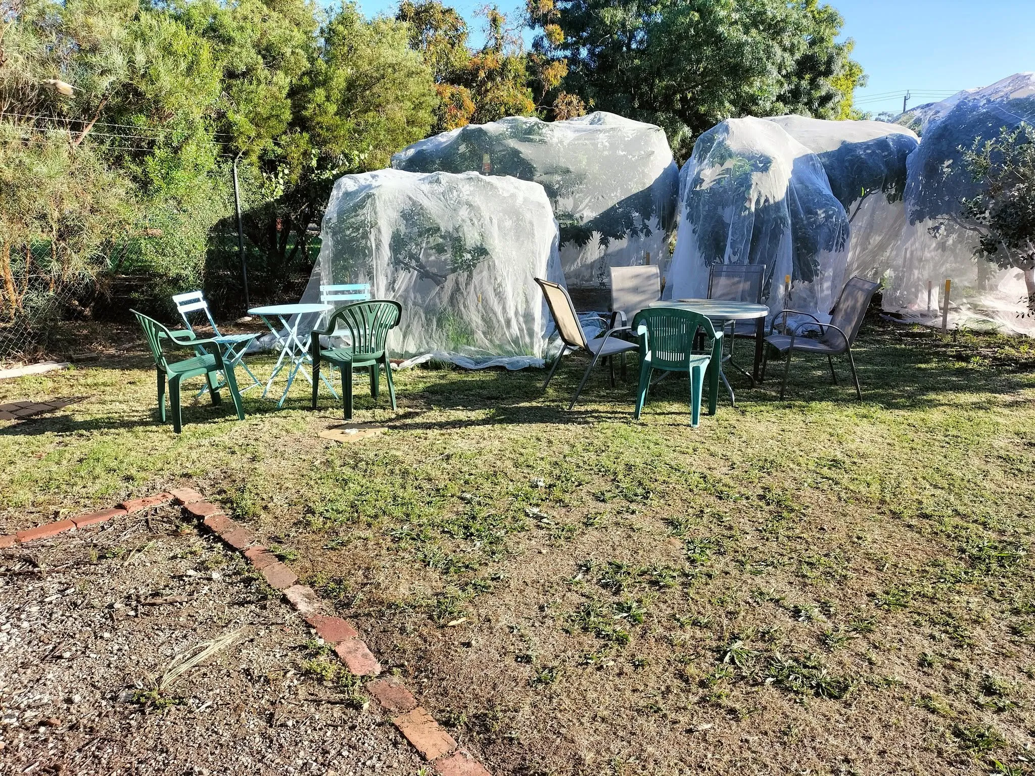 Maribyrnong Edible Garden — photo 119