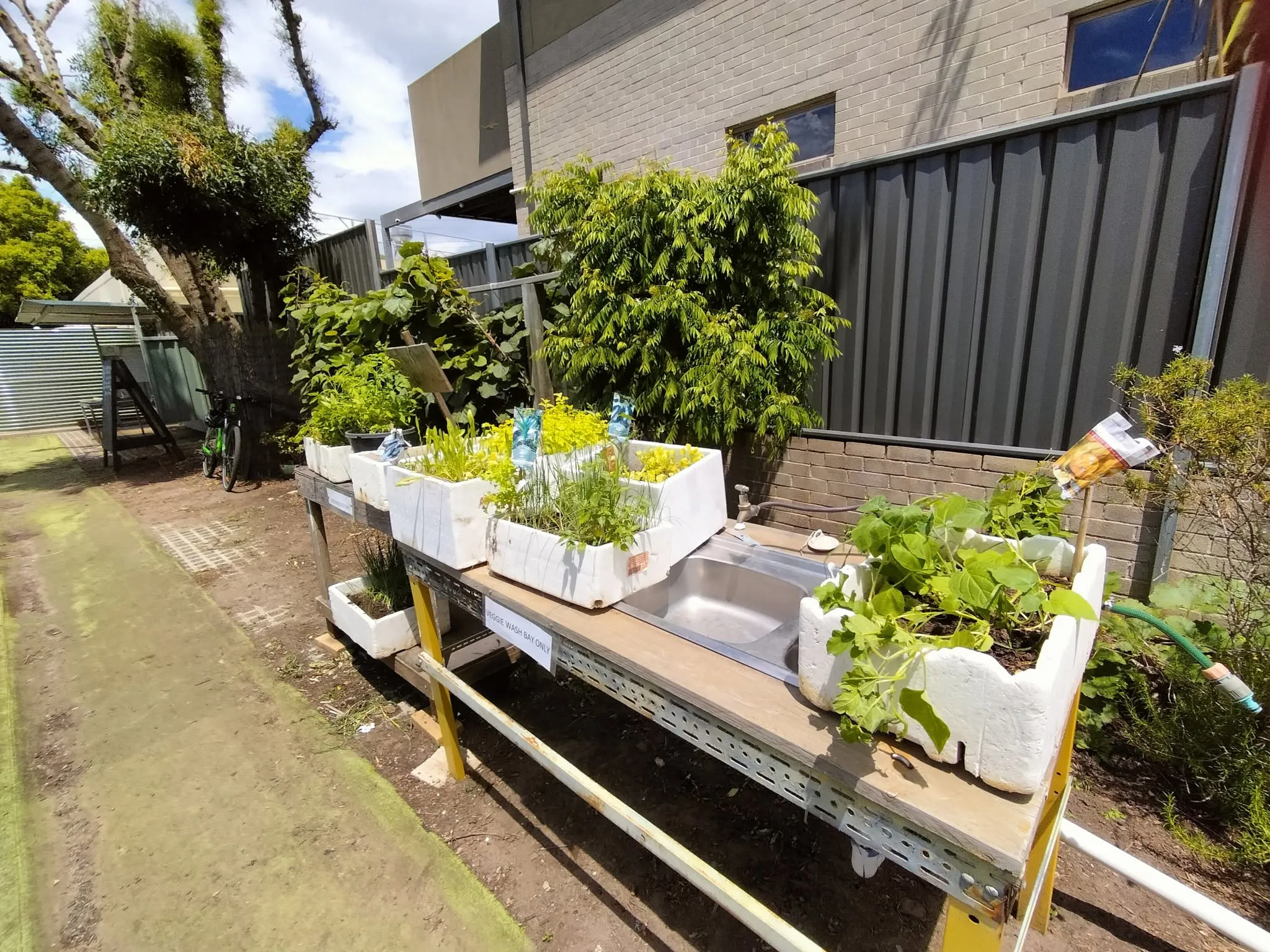 Maribyrnong Edible Garden — photo 136