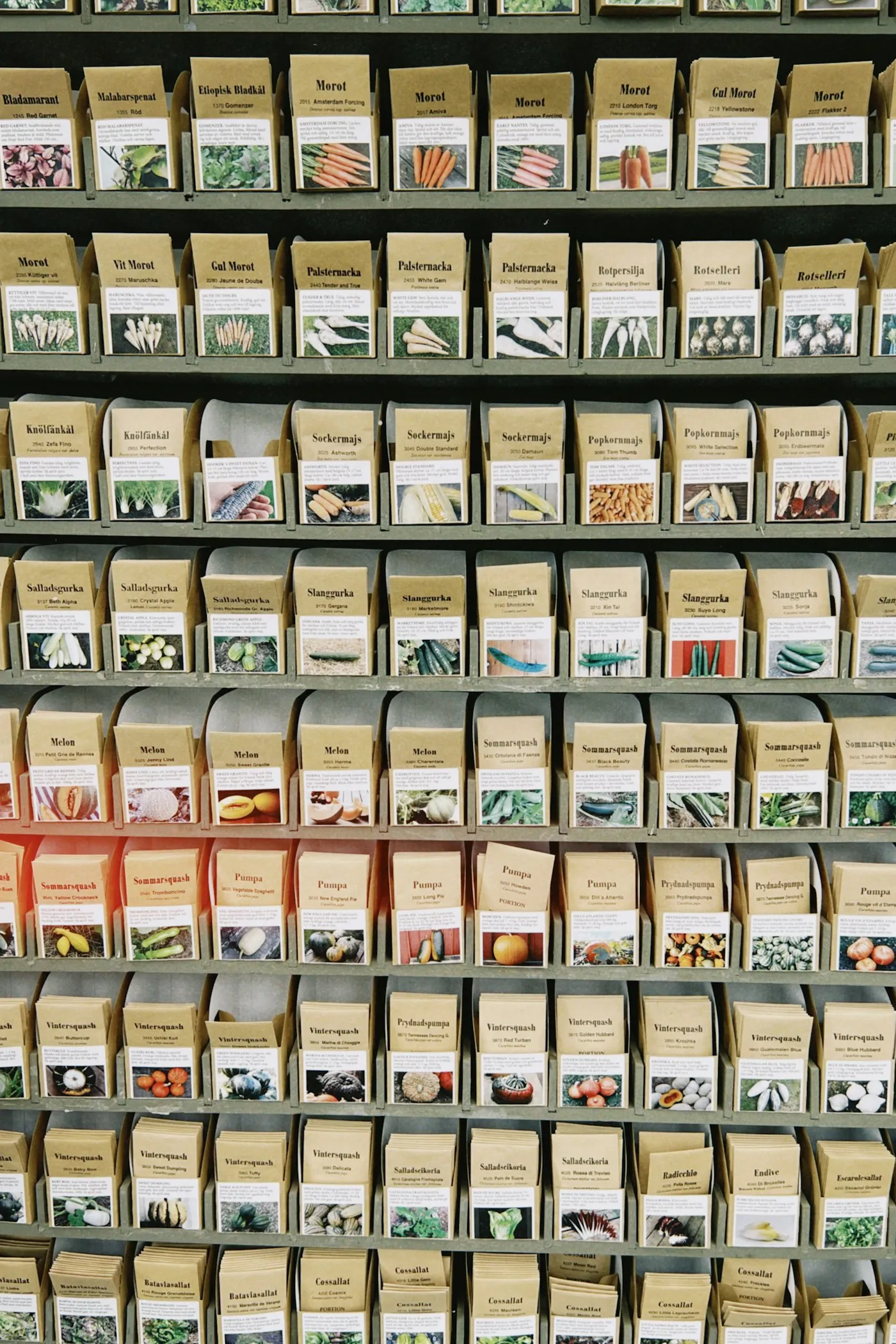 Wooden shelves filled with hand-labelled seed packets