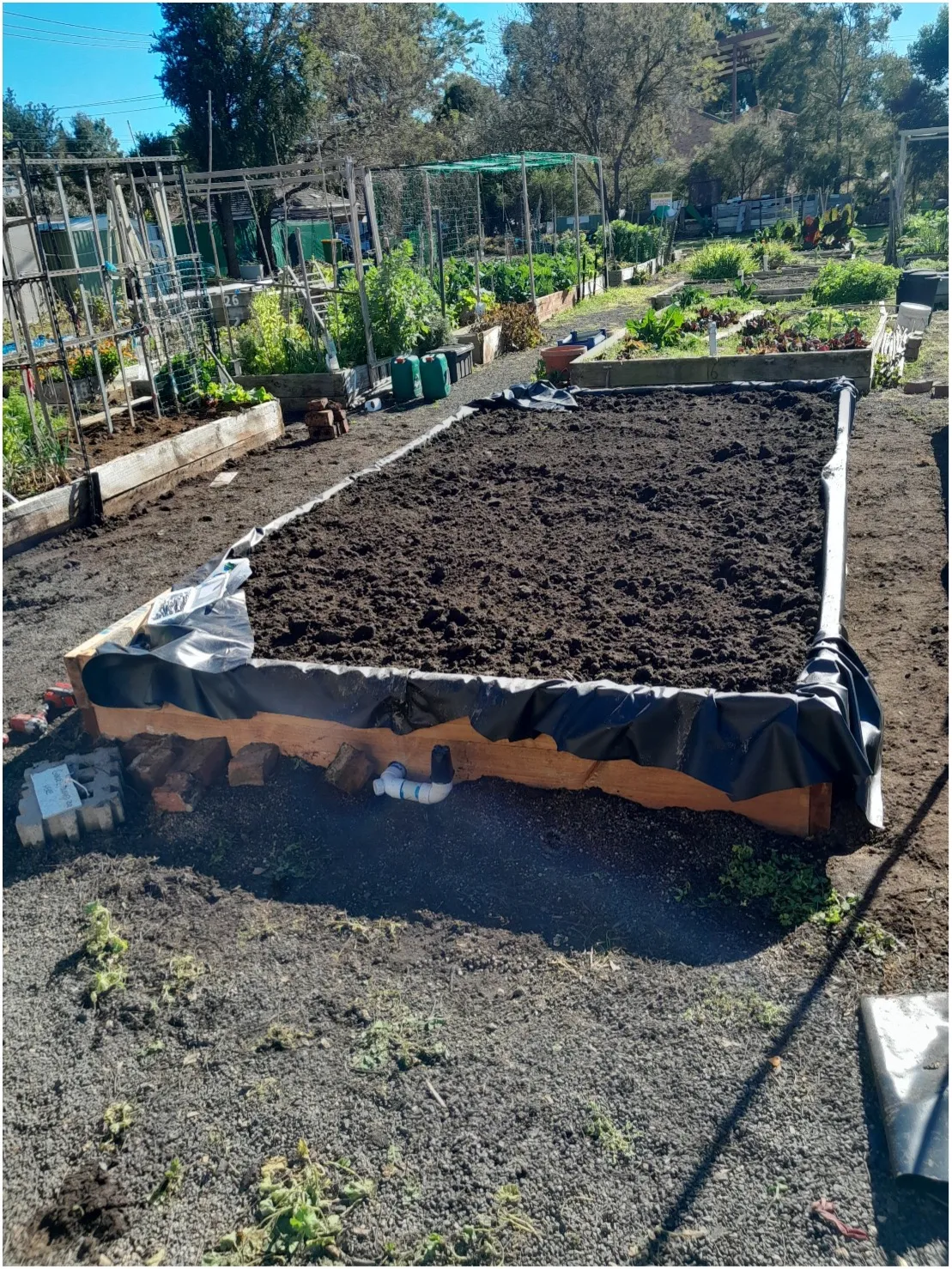 A rebuilt wicking bed with fresh soil returned, seen in the morning sun