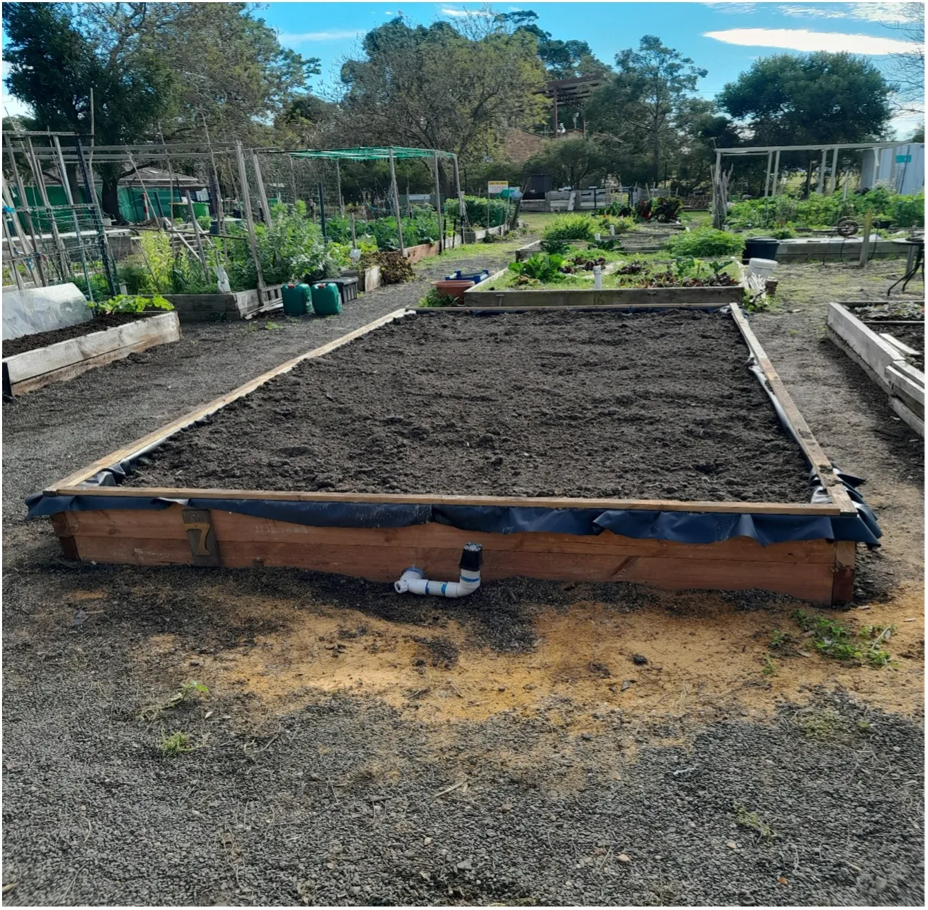 The finished wicking bed, filled with soil, edge strip fitted and the outlet pipe in place