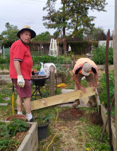 Working Bee 5 December 2020 Two members working on repairing a garden plot.